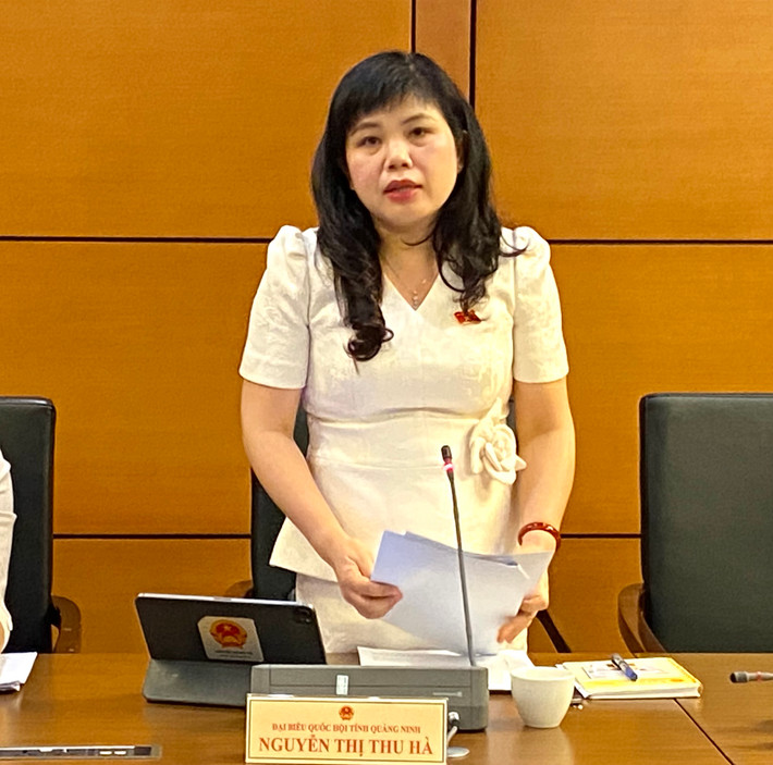 Cần chính sách đặc thù về Khu thương mại tự do Đà Nẵng ảnh 1 Cần chính sách đặc thù riêng cho khu thương mại tự do