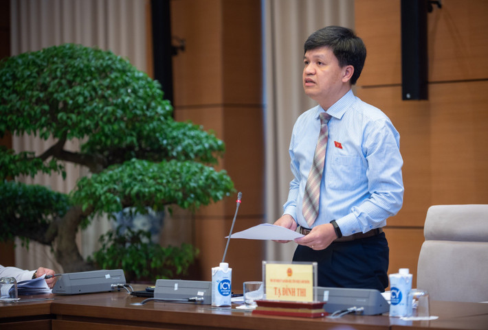 Phó Chủ nhiệm Ủy ban Khoa học, Công nghệ và Môi trường Tạ Đình Thi phát biểu Phó Chủ nhiệm Ủy ban Khoa học, Công nghệ và Môi trường Tạ Đình Thi phát biểu