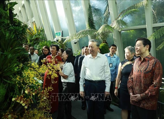 Tổng Bí thư Tô Lâm và Phu nhân cùng Thủ tướng Singapore Lawrence Wong thăm Vườn Thực vật quốc gia Singapore. Ảnh: Thống Nhất/TTXVN