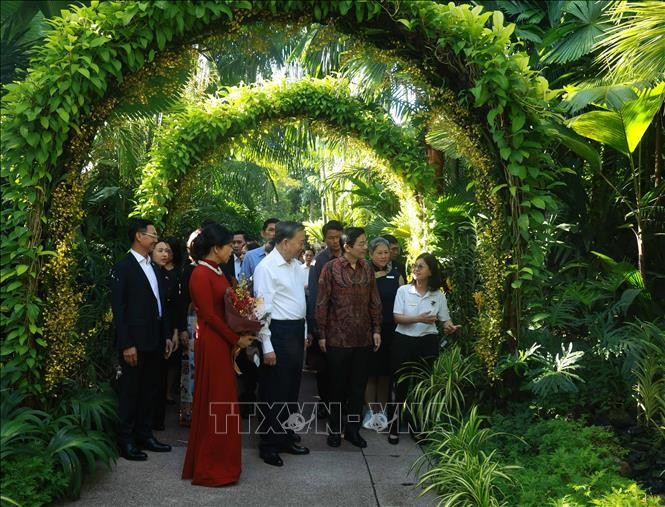 Tổng Bí thư Tô Lâm và Phu nhân cùng Thủ tướng Singapore Lawrence Wong thăm Vườn Thực vật quốc gia Singapore. Ảnh: Thống Nhất/TTXVN