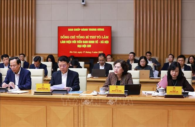 Các đại biểu tham dự buổi làm việc. Ảnh: Dương Giang/TTXVN tieu-ban-17325-7.jpg