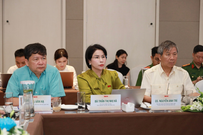 Các đại biểu dự tọa đàm z652955182419872f083652ba8f8e3ac49b2dc1c5bb856-17453000032751419434544.jpg