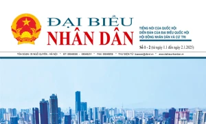 Ấn phẩm số Báo Tết dương lịch phát hành ngày 01/01/2025