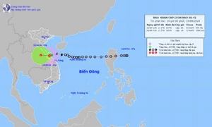 Bão số 4 suy yếu thành áp thấp nhiệt đới sau khi “đổ bộ” miền Trung