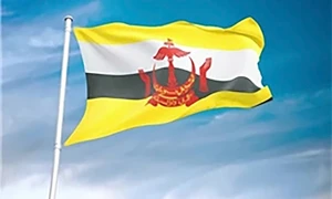 Điện mừng Quốc khánh lần thứ 41 của Brunei Darussalam