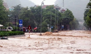 Vi phạm hành chính trong lĩnh vực khí tượng thủy văn bị phạt tới 100 triệu đồng