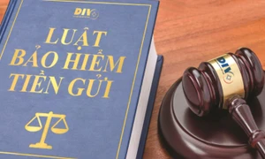 Phát huy vai trò của Bảo hiểm tiền gửi Việt Nam đối với hệ thống quỹ tín dụng nhân dân