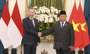 Tổng Bí thư Tô Lâm hội đàm với Tổng thống Indonesia Prabowo Subianto