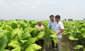 Cần lộ trình phù hợp, bảo đảm hài hòa lợi ích các bên