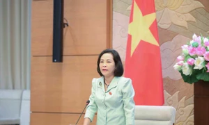 Toàn cảnh Phiên họp