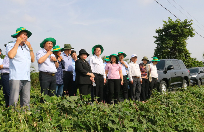 Phó Chủ tịch Quốc hội Nguyễn Đức Hải cùng đoàn công tác khảo sát Hợp tác xã New Green Farm. Ảnh: Nguyễn Hành htx-1-new-green-farm.jpg