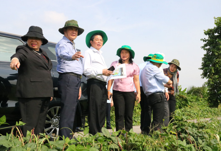Phó Chủ tịch Quốc hội Nguyễn Đức Hải cùng đoàn công tác khảo sát Hợp tác xã New Green Farm. Ảnh: Nguyễn Hành htx2.jpg