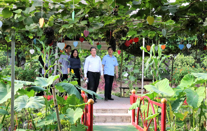 Phó Chủ tịch Quốc hội Nguyễn Đức Hải cùng đoàn công tác khảo sát Khu sinh thái Sông Hậu Farm. Ảnh: Nguyễn Hành nt-song-hau-2.jpg