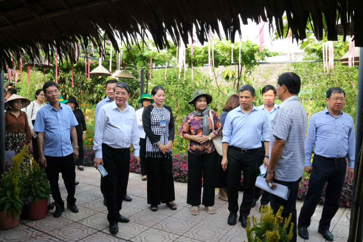 Phó Chủ tịch Quốc hội Nguyễn Đức Hải cùng đoàn công tác khảo sát Khu sinh thái Sông Hậu Farm. Ảnh: Nguyễn Hành nt-song-hau.jpg