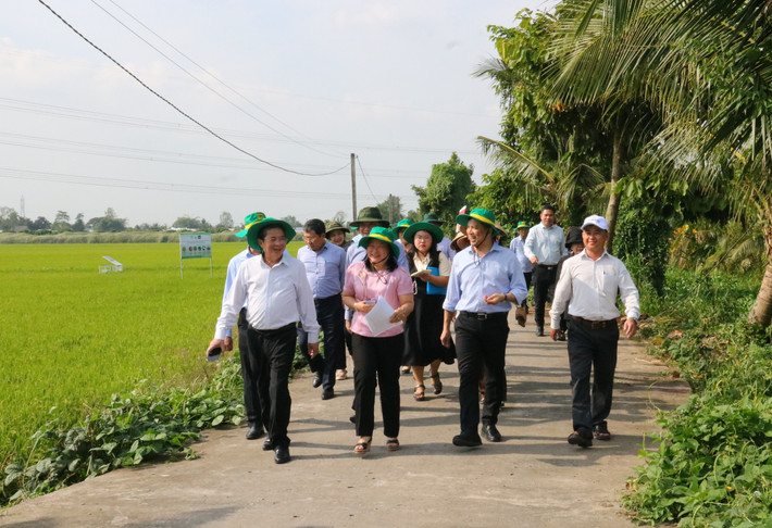 Phó Chủ tịch Quốc hội Nguyễn Đức Hải cùng đoàn công tác khảo sát Hợp tác xã New Green Farm. Ảnh: Nguyễn Hành htx6.jpg