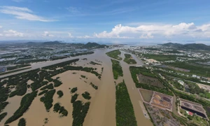 Kiên Giang: Thêm một người dân bị phạt 500 triệu đồng vì bao chiếm đất đầm Đông Hồ