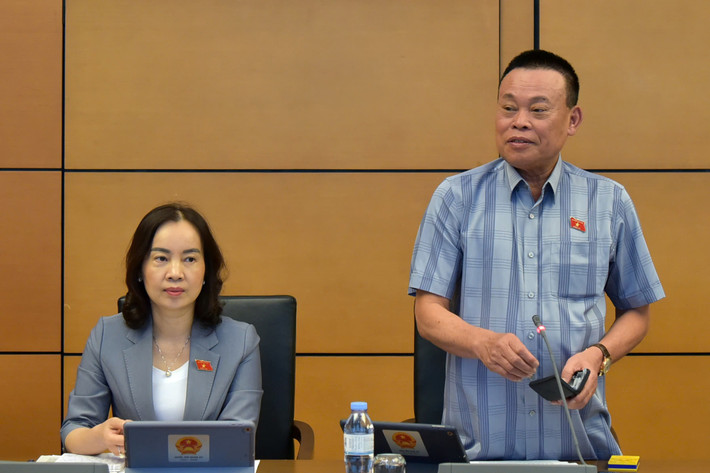 ĐBQH Nguyễn Như So (Bắc Ninh) phát biểu tại phiên thảo luận tổ. Ảnh: P.V nhu-so.jpg