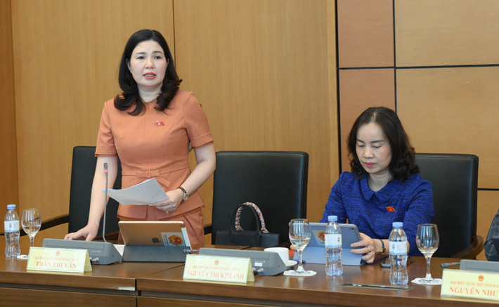 ĐBQH Trần Thị Vân (Bắc Ninh) phát biểu avatar