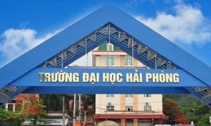 Tiến sĩ, phó giáo sư, giáo sư về Trường Đại học Hải Phòng công tác được hỗ trợ từ 300- 500 triệu đồng