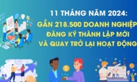 Hơn 218,5 nghìn doanh nghiệp thành lập mới và quay trở lại hoạt động trong 11 tháng năm 2024