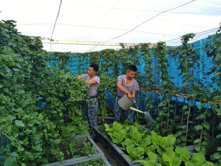 Các chiến sỹ tăng gia rau xanh trên đảo. Ảnh: Thanh Hoàng tang-gia-rau-xanh-tren-dao.jpg