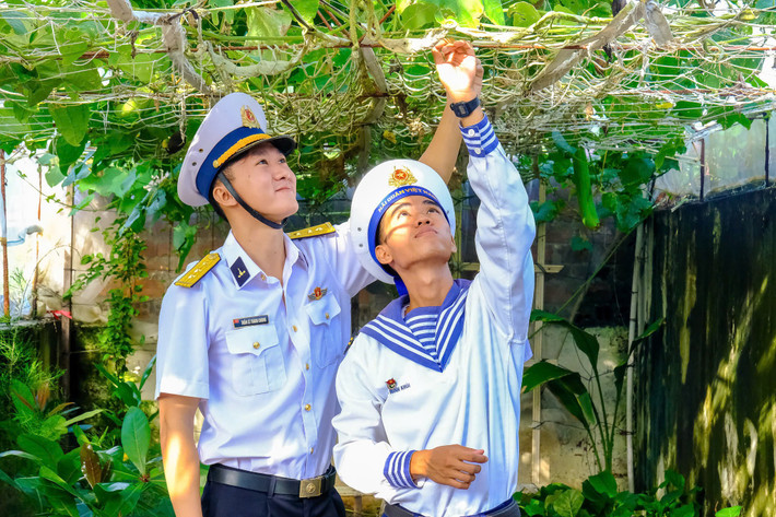 Cán bộ, chiến sĩ đảo Sinh Tồn Đông chăm sóc rau xanh z6338983356338-a0ff05c1beac460e837aa96d8b0430f6.jpg