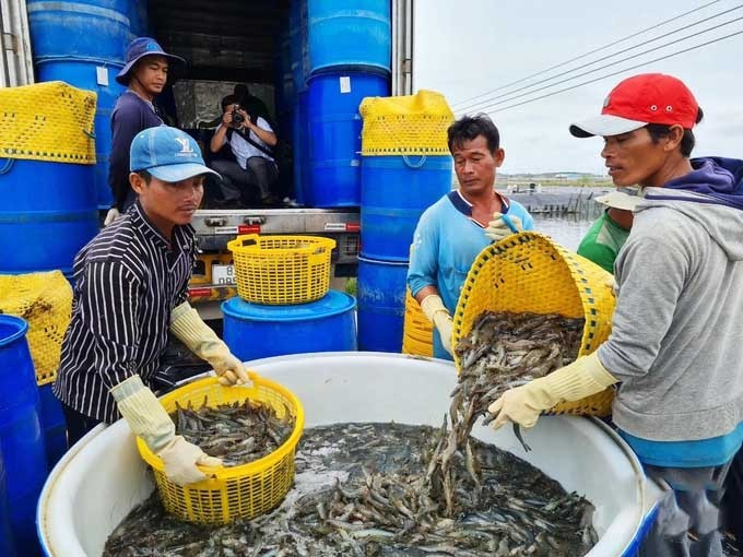 Nhằm tạo đầu ra ổn định, ngành nông nghiệp Đồng Nai đã chủ động triển khai nhiều kênh phân phối cho nông sản. Nguồn: ITN anh-bai-3-3646.jpg