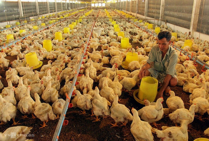 Tỉnh Đồng Nai đã triển khai nhiều mô hình nhằm đa dạng hóa nguồn lực trong phát triển kinh tế nông nghiệp. ảnh bài 3..jpg
