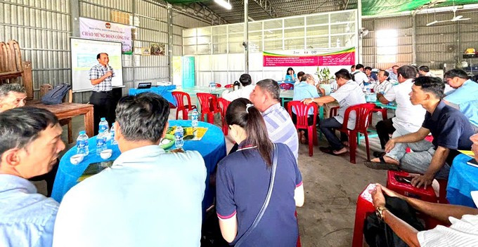 Kỹ sư Trần Tấn Thành (đứng) chia sẻ với nông dân trồng xoài ở Đồng Tháp về cách nhận biết phân bón Đầu Trâu. Ảnh: Thanh Hải. f7c313564dd0f48eadc1-1-121555-268-192118.jpg