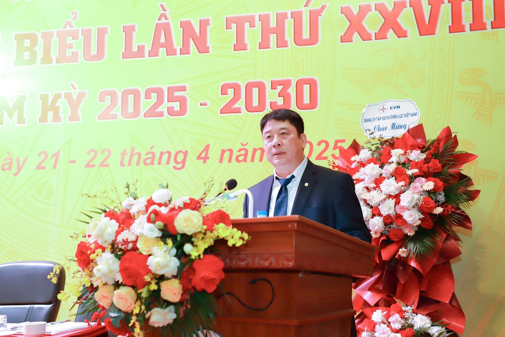 Tổng giám đốc EVN Nguyễn Anh Tuấn phát biểu chỉ đạo Đại hội img-2387.jpg